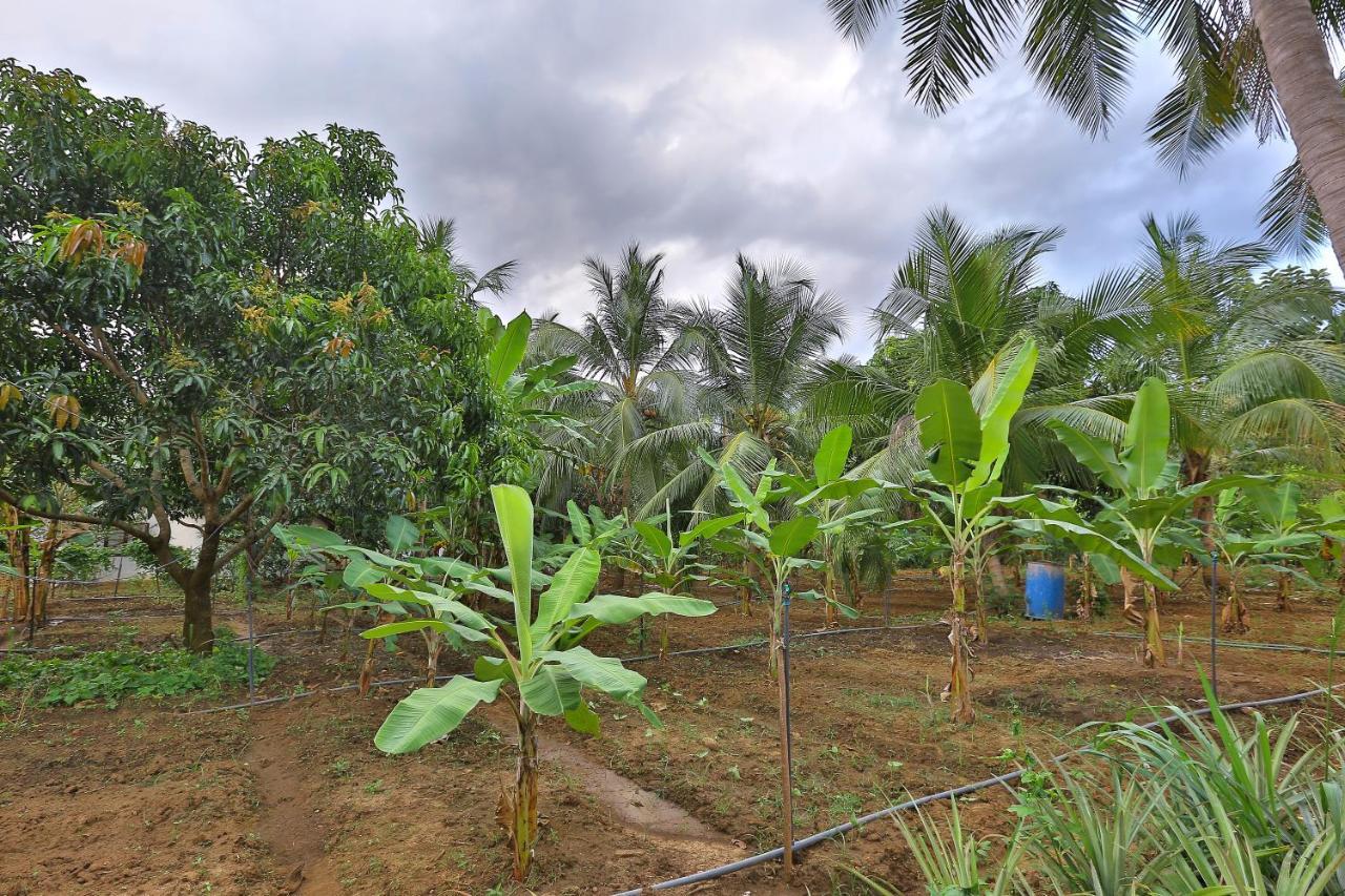 Sayon River Cottage & Eco Garden Monaragala Buitenkant foto