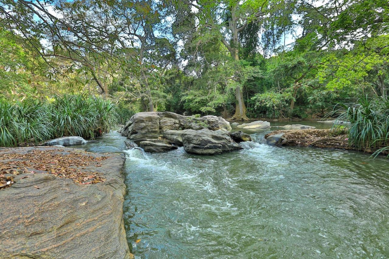 Sayon River Cottage & Eco Garden Monaragala Buitenkant foto